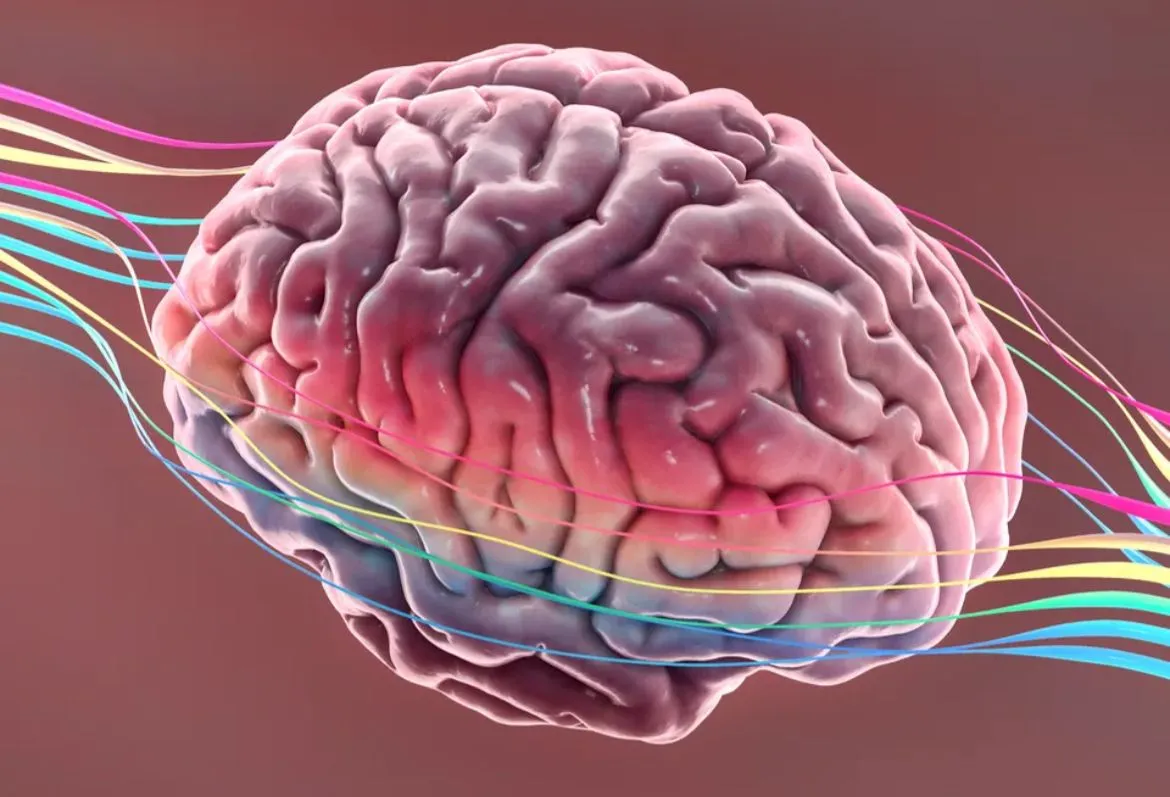 Revelan que dos vacunas existentes  podrían reducir el riesgo de demencia, incluido el Alzheimer