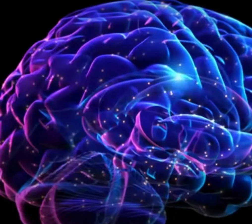 Cerebro optimista, cerebro pesimista: una diferencia clave