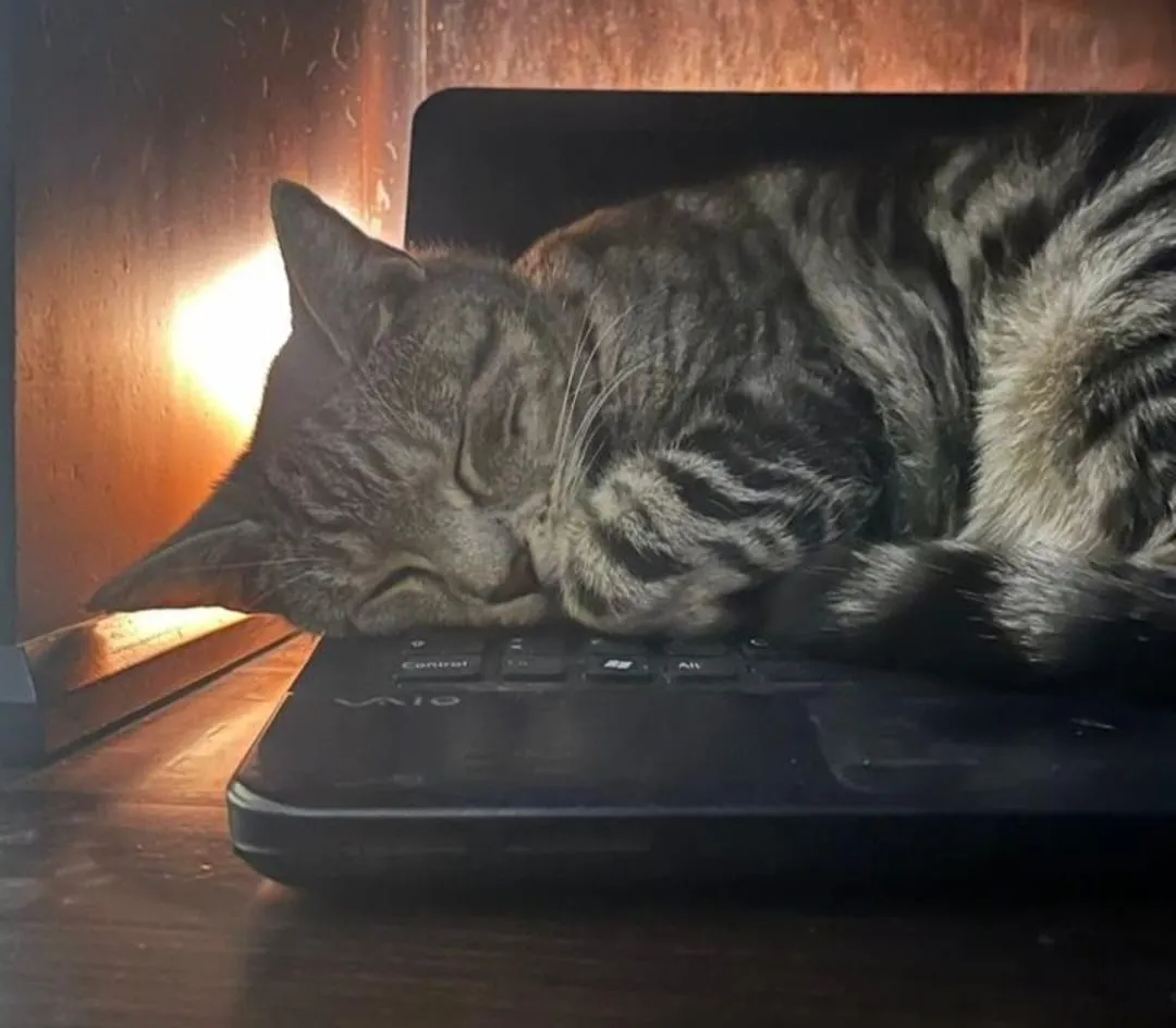 De cuánto tiempo tiene que ser una siesta ideal