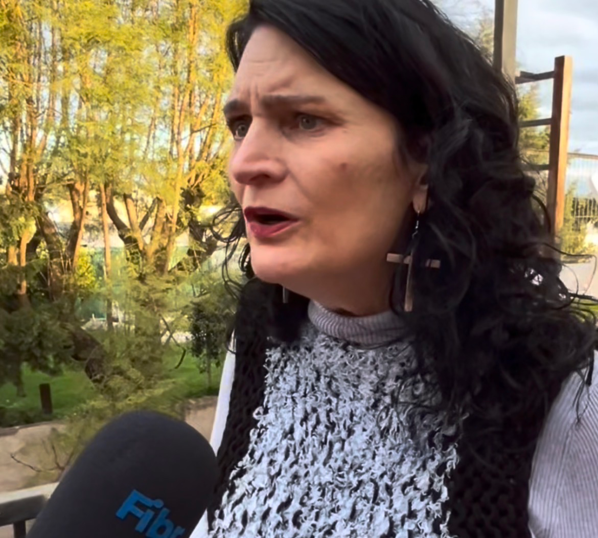Peressutti cuestionó con dureza el apartamiento de la jueza Tulián en la causa contra Companys